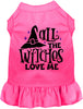 All the Witches Love Me Halloween Pet Dress