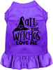All the Witches Love Me Halloween Pet Dress