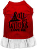 All the Witches Love Me Halloween Pet Dress