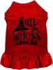 All the Witches Love Me Halloween Pet Dress