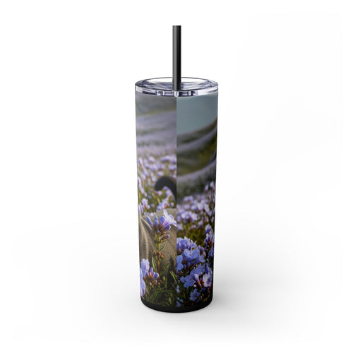 Skinny Tumbler with Straw – 20 oz Stainless Steel Cup