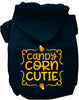 Candy Corn Cutie Pet Hoodie
