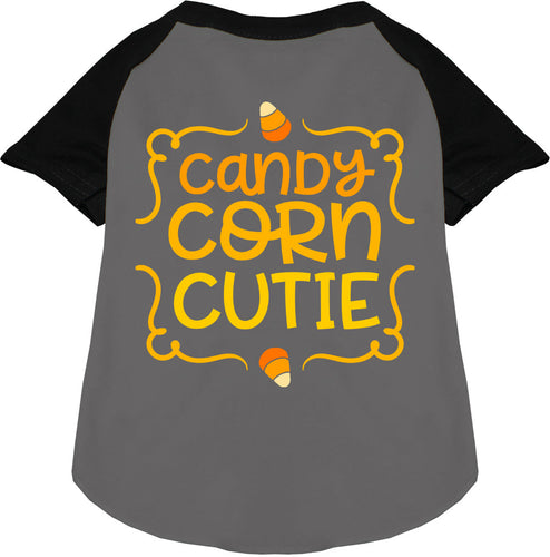 Candy Corn Cutie Pet Raglan Shirt