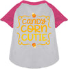 Candy Corn Cutie Pet Raglan Shirt