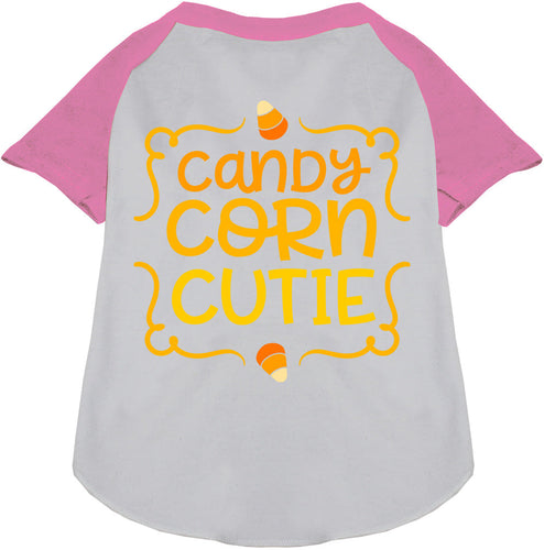 Candy Corn Cutie Pet Raglan Shirt