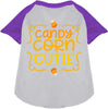 Candy Corn Cutie Pet Raglan Shirt