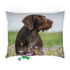 Pet Bed – Plush Dog Bed, 3 Size Options
