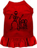 Bad to the Bone Pet Dress