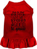 Good to Gnaw Halloween Pet Dress