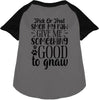 Good to Gnaw Pet Raglan Shirt