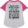 Good to Gnaw Pet Raglan Shirt