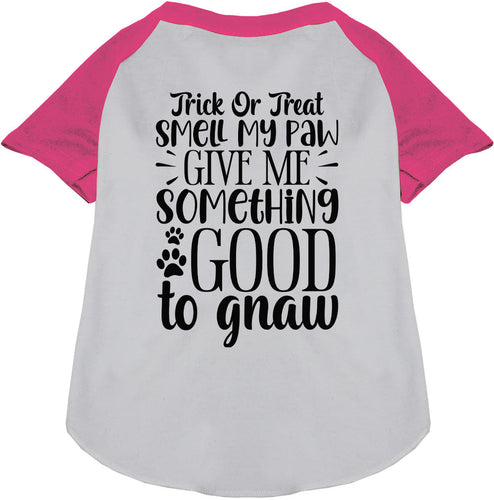 Good to Gnaw Pet Raglan Shirt