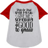 Good to Gnaw Pet Raglan Shirt