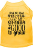 Good to Gnaw Pet Shirt