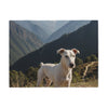 Gull Terrier Blanket