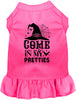 Come In My Pretties Witch Halloween Pet Dress
