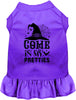 Come In My Pretties Witch Halloween Pet Dress