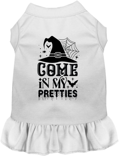 Come In My Pretties Witch Halloween Pet Dress