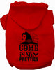 Come In My Pretties Halloween Pet Hoodie