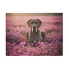 Sweatshirt Blanket – Plush Fleece Throw, 2 Size Options
