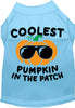 Coolest Pumpkin Pet Shirt