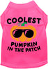 Coolest Pumpkin Pet Shirt