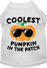 Coolest Pumpkin Pet Shirt