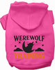 Werewolf in Training Pet Hoodie