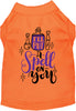 Put a Spell on You Pet Shirt
