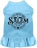 Salem Witches Union Pet Dress