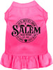 Salem Witches Union Pet Dress