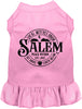 Salem Witches Union Pet Dress