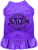 Salem Witches Union Pet Dress
