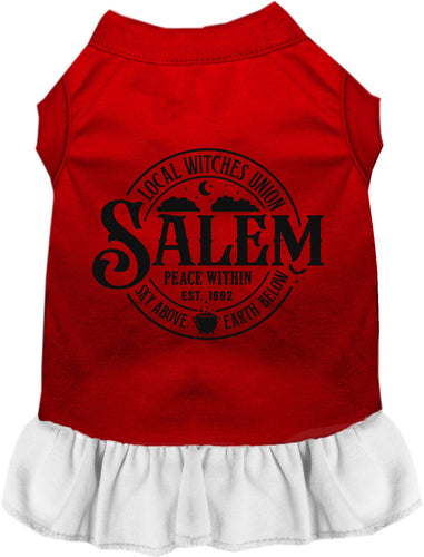 Salem Witches Union Pet Dress