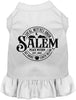 Salem Witches Union Pet Dress