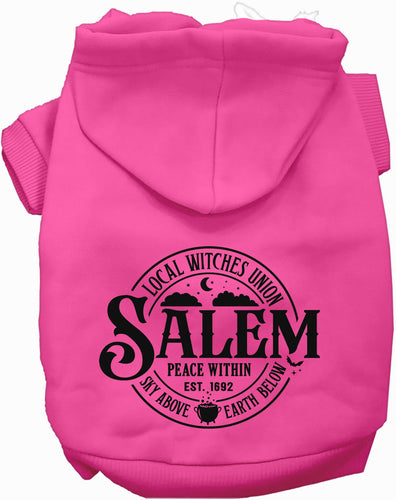 Salem Witches Union Halloween Pet Hoodie