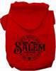Salem Witches Union Halloween Pet Hoodie