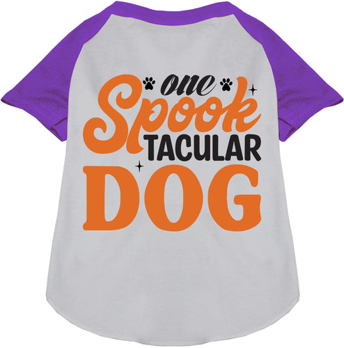 One Spooktacular Dog Pet Raglan Shirt