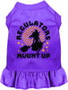 Regulators Mount Up Pet Dress