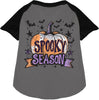 Batty Spooky Season Pet Raglan Shirt