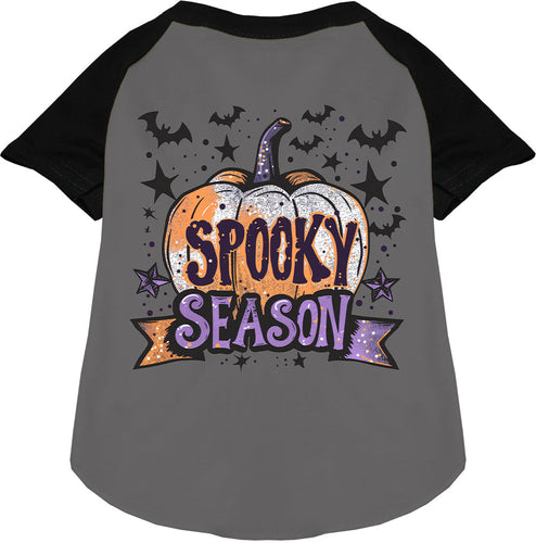 Batty Spooky Season Pet Raglan Shirt