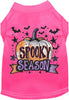 Batty Spooky Season Pet Shirt