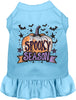 Batty Spooky Season Pet Dress
