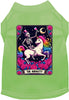The Absurdity! Pet Shirt
