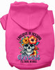 Grudges Skull Pet Hoodie