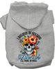 Grudges Skull Pet Hoodie