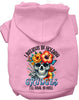 Grudges Skull Pet Hoodie