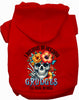 Grudges Skull Pet Hoodie