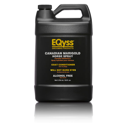 Canadian Marigold Horse Spray