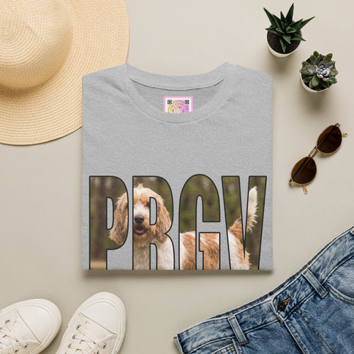 Petit Basset Griffon Vendéen (PBGV) Tee Shirt